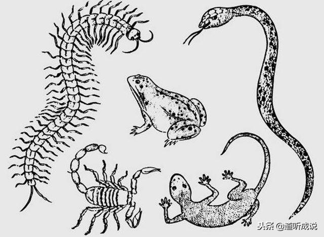 揭秘南洋“降头术”,是影视虚构还是真实存在的?