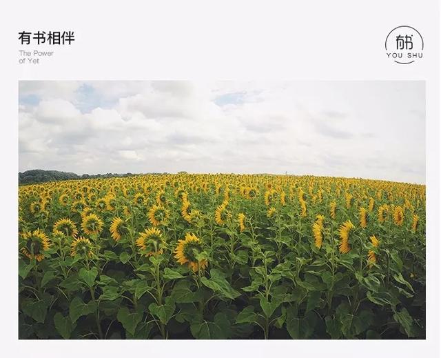 每天写工作计划和总结对成长真的很有帮助吗?