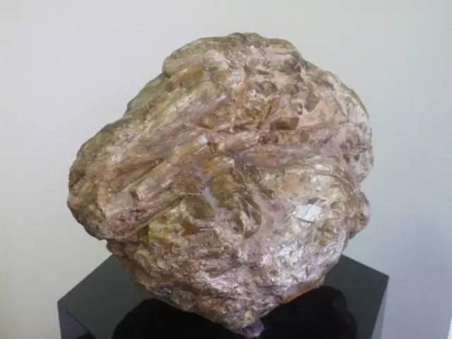 ���������ұ걾�����ɿ�����ϸ˵��