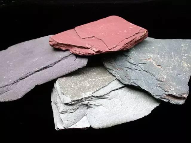 ���������ұ걾�����ɿ�����ϸ˵��