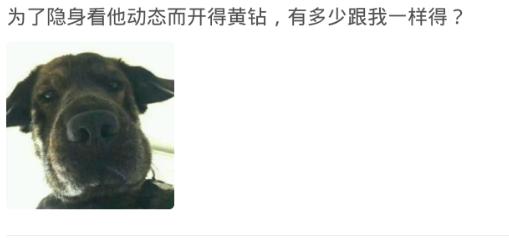 开黄钻就是为了看被挡访客有没有他?网友:你以为人家在乎你吗?