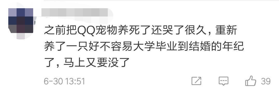 QQ���ｫͣ�ˣ����ѣ���ǰ����Ū�������������᲻�õ��ഺ���䡭��