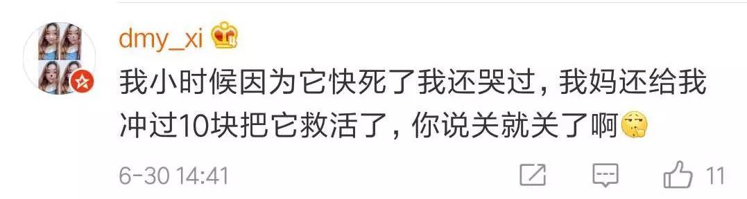 QQ���ｫͣ�ˣ����ѣ���ǰ����Ū�������������᲻�õ��ഺ���䡭��