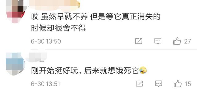 QQ���ｫͣ�ˣ����ѣ���ǰ����Ū�������������᲻�õ��ഺ���䡭��