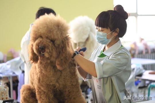 �������׬Ǯ��11�������ҵ�ϰ�ֻ͸¶����ô��