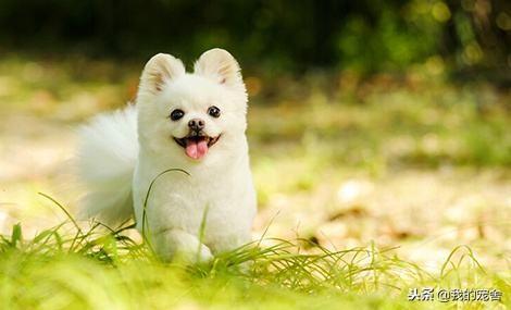 �������׬Ǯ��11�������ҵ�ϰ�ֻ͸¶����ô��