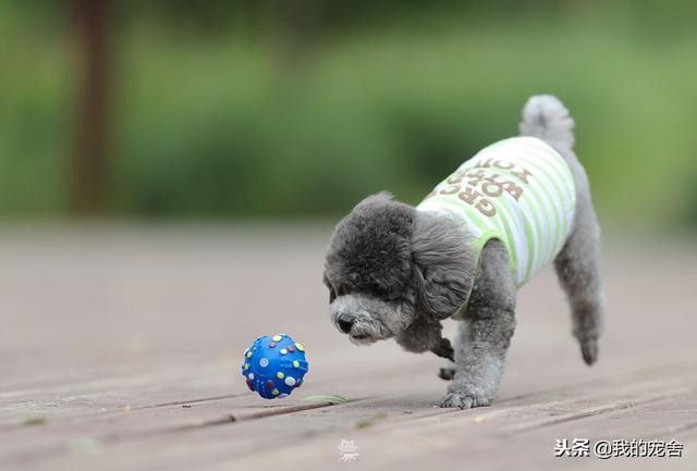 �������׬Ǯ��11�������ҵ�ϰ�ֻ͸¶����ô��