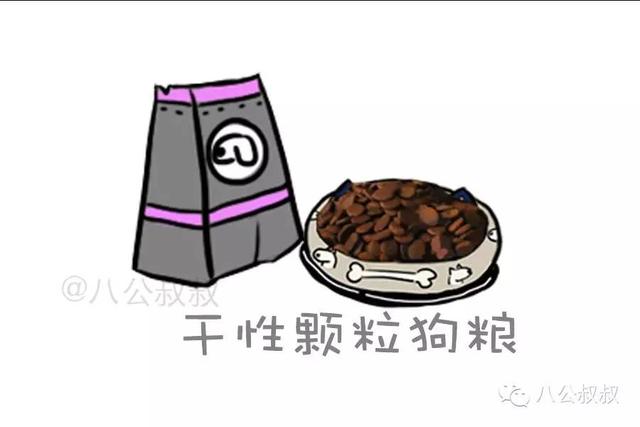 知识 · 狗粮那么多,到底怎么选?史上最强狗粮购买指南!