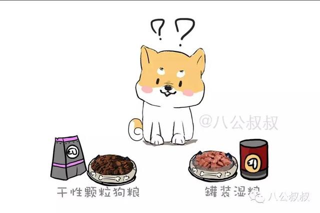 知识 · 狗粮那么多,到底怎么选?史上最强狗粮购买指南!