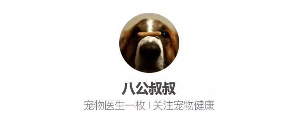 知识 · 狗粮那么多,到底怎么选?史上最强狗粮购买指南!