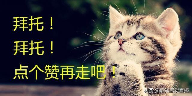 �����۸��������Щ�������۸�����ͷ��һ��