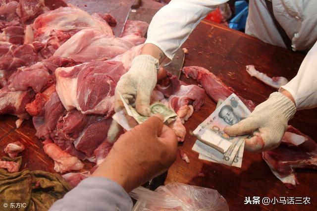 卖一头猪能挣多少钱?你知道答案吗