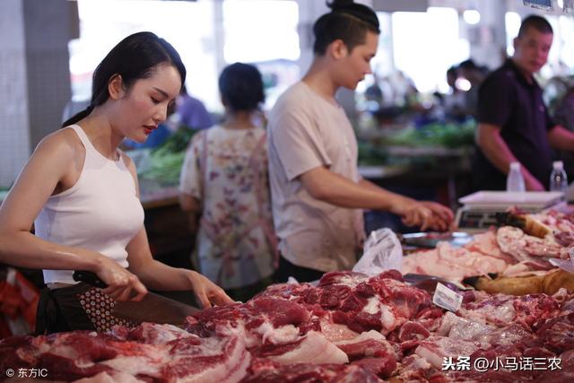 卖一头猪能挣多少钱?你知道答案吗