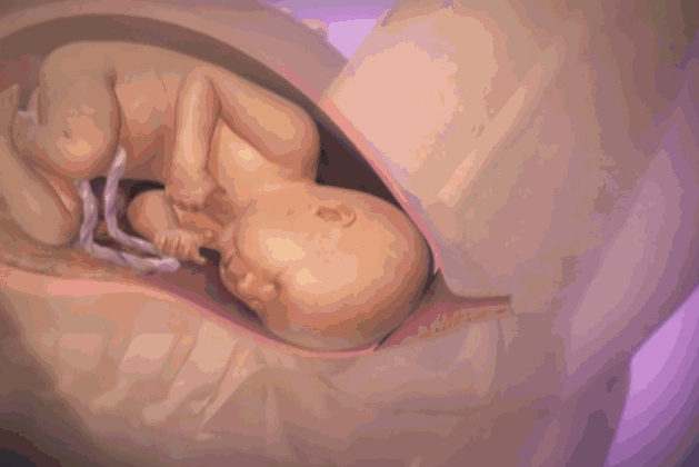 ˳�������ж��ۣ������ǿ�����18ͼƬ��������������Ů�˲�����
