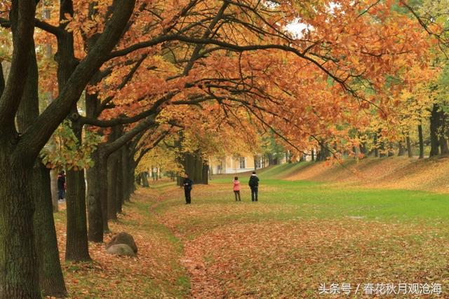 这个国家与我国互免签证,景色举世无双,更是美女如云
