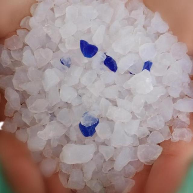 ��è����ѡ��èɰ���Ա��⼸�����棬������ѡ����èɰ��