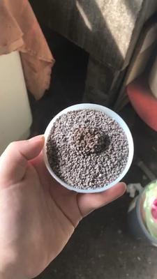 ��è����ѡ��èɰ���Ա��⼸�����棬������ѡ����èɰ��