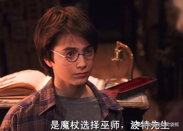 哈利波特为什么能打败伏地魔?你看看他手里拿的啥?