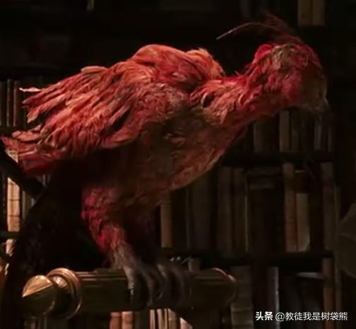 哈利波特为什么能打败伏地魔?你看看他手里拿的啥?