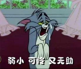 ������ƪ���£�����ܾͲ����ĳ�֪�˺���