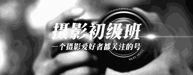 相机不买贵的只买对的,入门到中端单反推荐