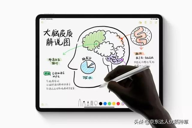 平板机皇iPad,A10芯片对撞A12芯片
