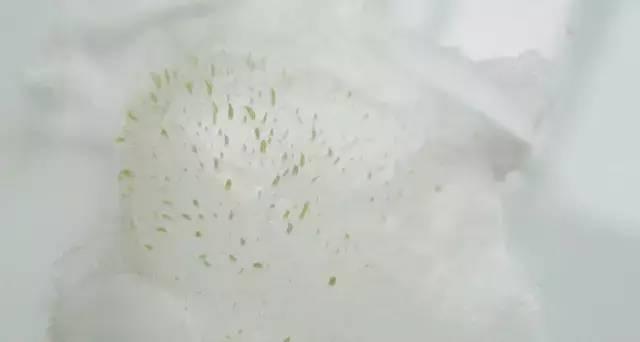 ��������£�����ë�ױ�С��Ƥ�����ϸ�壡