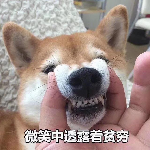 �ְ��ֽ�������ڽ���ͷ���Ϸ�������׬Ǯ