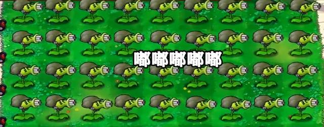 ������������ϸ�ծ��� ��Щ�����˲���д�����ĸ������������