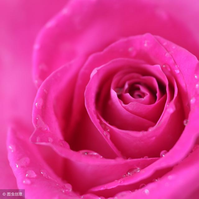 ��ɫ���������õİ��飬�����Ŵ��࣬�����Ÿ߹�