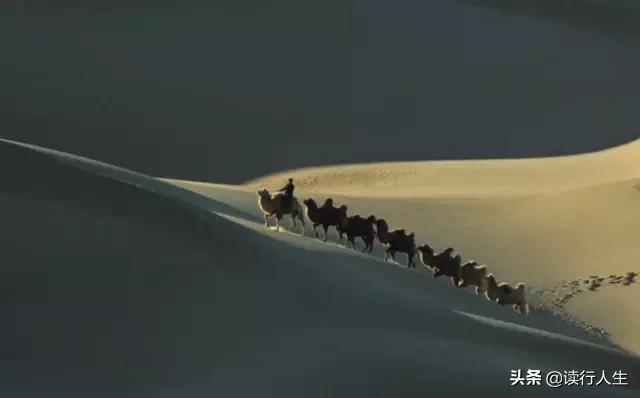 ��õ�����̬�ȣ��ǰ��Լ���ȡ���Լ�