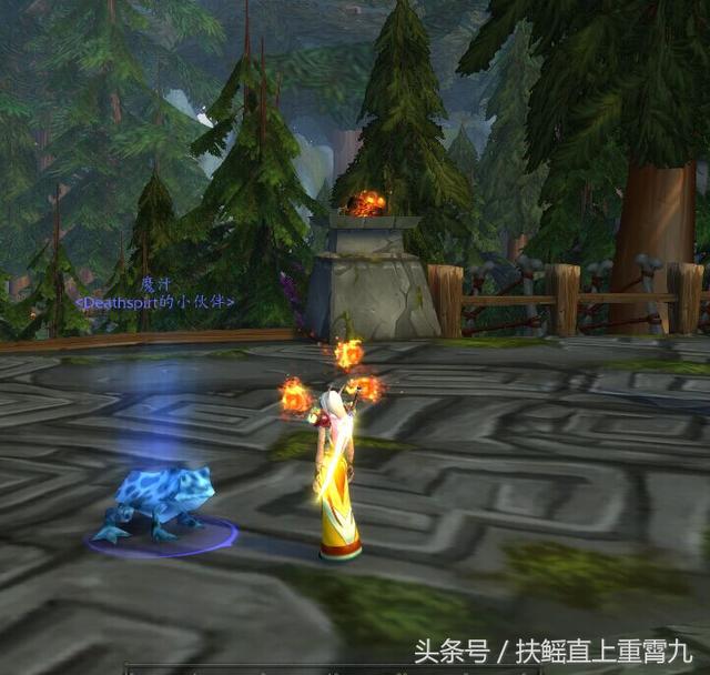 快!魔兽世界拯救“青蛙”大行动,绝版宠物带你抓!呱呱呱