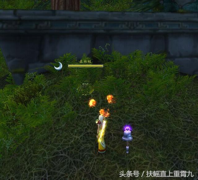 快!魔兽世界拯救“青蛙”大行动,绝版宠物带你抓!呱呱呱
