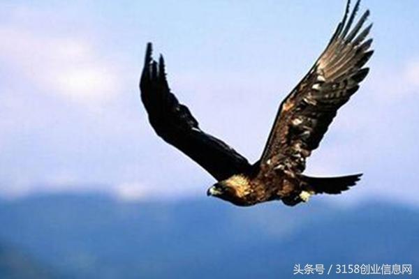 没钱做什么生意好?有哪些适合白手起家的创业项目?