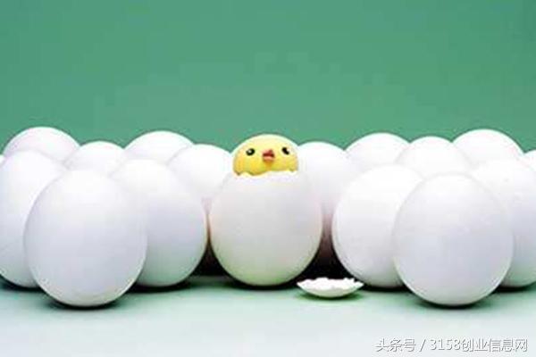 没钱做什么生意好?有哪些适合白手起家的创业项目?