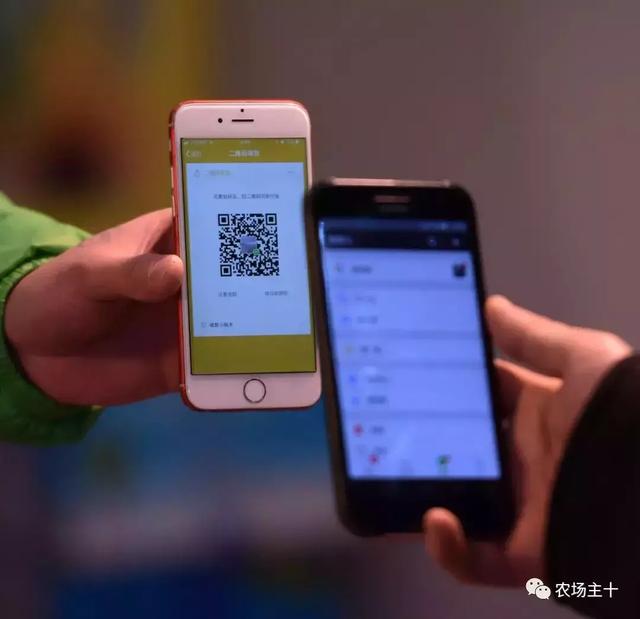 创业不知做啥好?推荐7个特色项目,一年最高赚20万