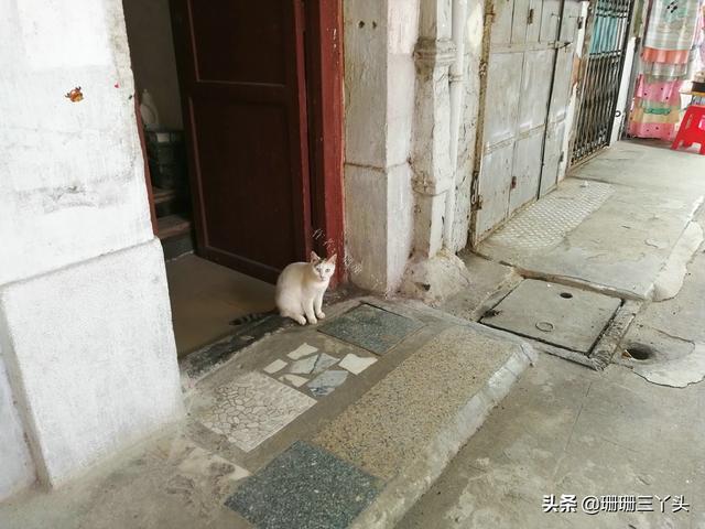 广州的“乌衣巷”,从前“广州第一家族”居住地,如今归于平静