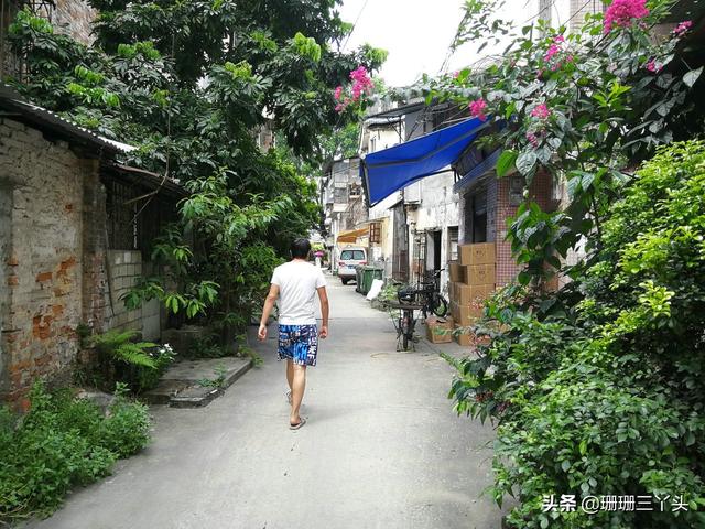 广州的“乌衣巷”,从前“广州第一家族”居住地,如今归于平静