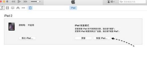 iPad已停用如何解锁:应该怎么办?