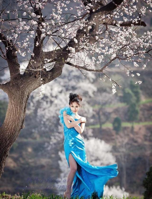 ԭ��ʫ��:  �����Ƭ��������˭������