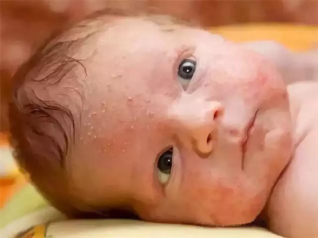 �����᳤���ഺ���������ʪ�Ҫɵɵ�ķֲ��壬һ�н���