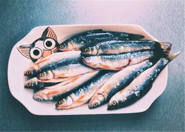 è�����㣿�������ǰ��è��Ҳ���ӱ�������������