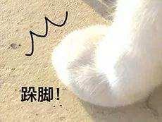 ԭ������ô��Ů����ë���һ��أ�