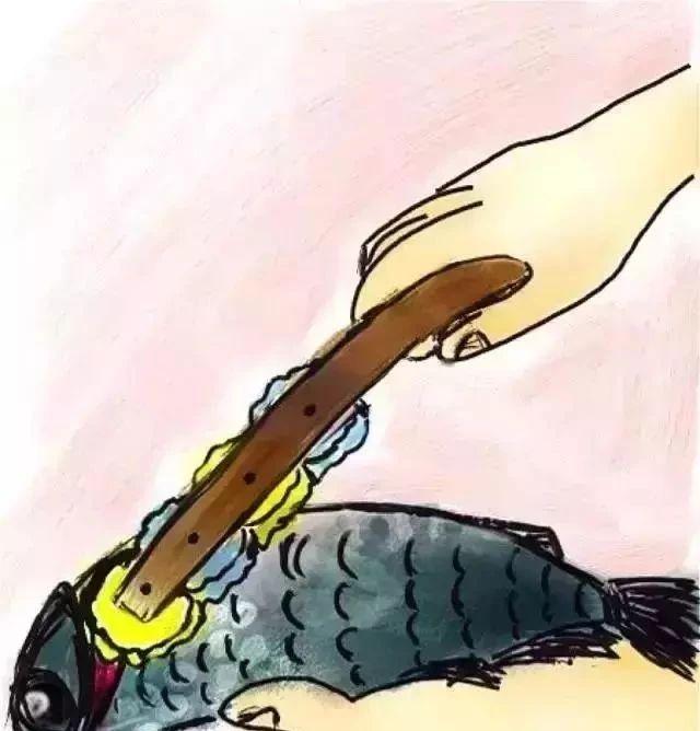 �����⼸�����ò�Ҫ�ӣ���Ȫˮƿ�����·�������ɡ�Ƚ�����Ϊ��