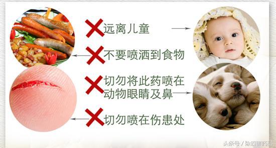 消灭跳蚤三个最好的方法详解!