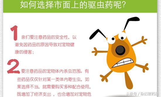 消灭跳蚤三个最好的方法详解!