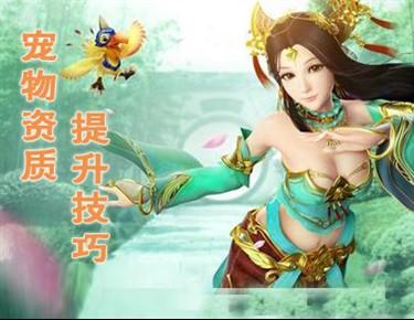 《神武》手游敏盘丝加点技巧 盘丝加点攻略
