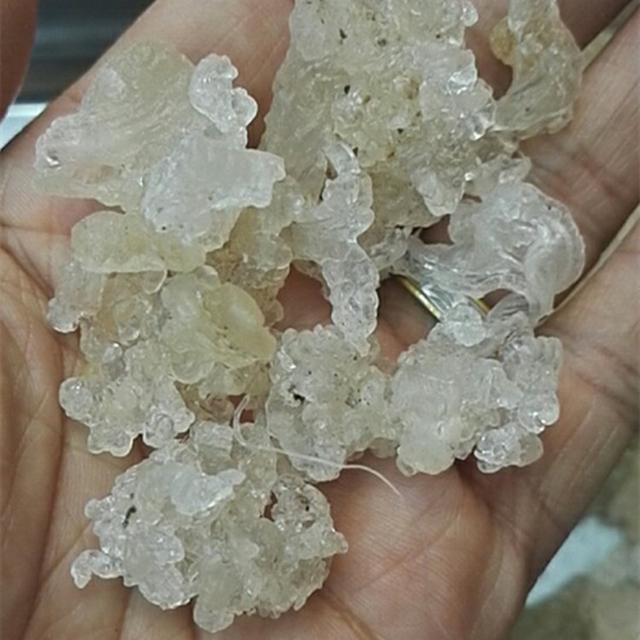拉丝雪燕究竟是个神马东东?