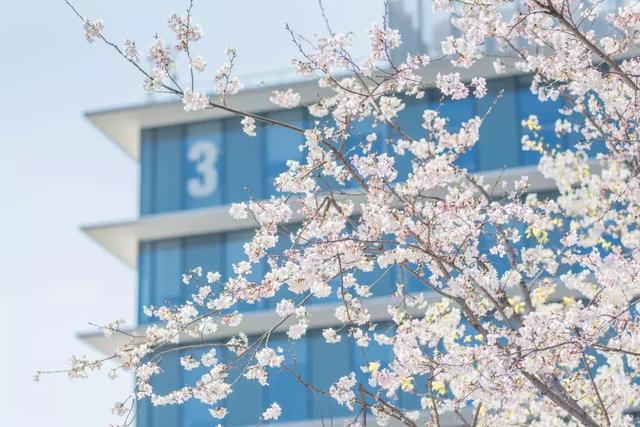 在阿里绩效考核拿3.25是什么意思