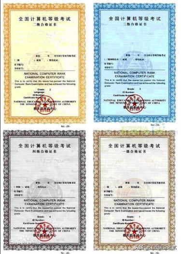 2019国网电力公司招聘考试,网申过程中计算机能力怎么填?